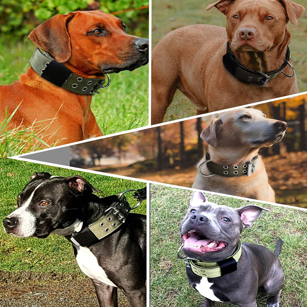Military Tactical Dog Collar – Large 2" Nylon Collar with Metal Buckle