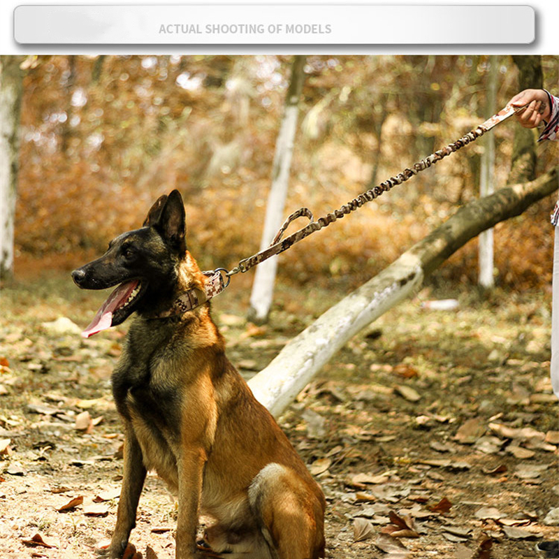 Military Tactical Dog Collar – Large 2" Nylon Collar with Metal Buckle