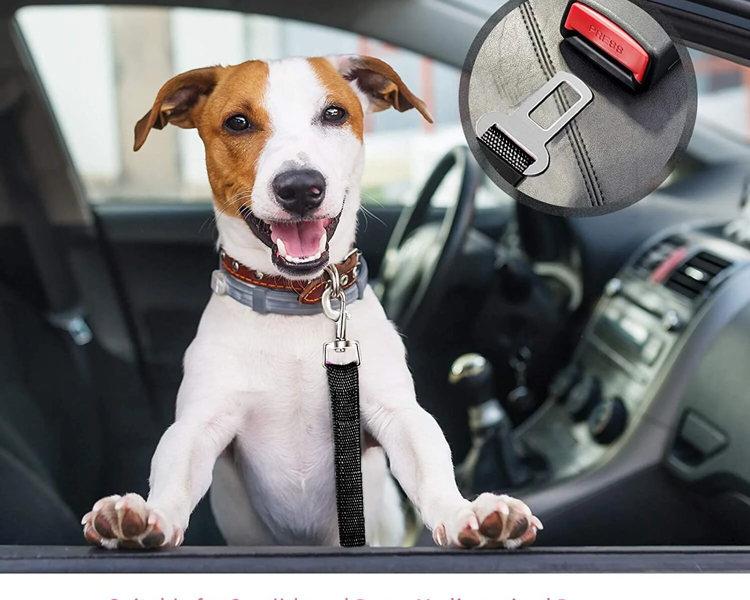 Pet Car Seatbelt Set – 2 Pack Adjustable Safety Harness for Cats and Dogs