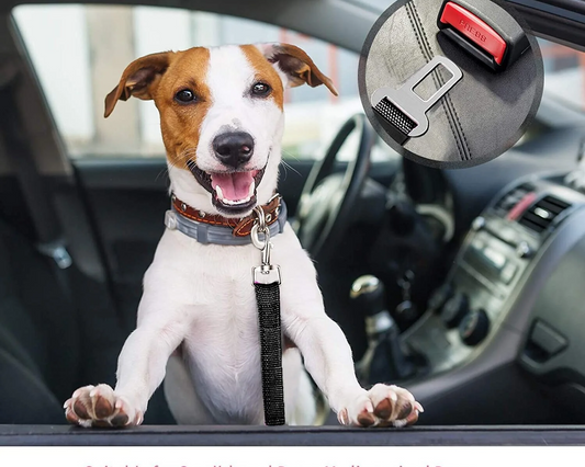 Pet Car Seatbelt Set – 2 Pack Adjustable Safety Harness for Cats and Dogs