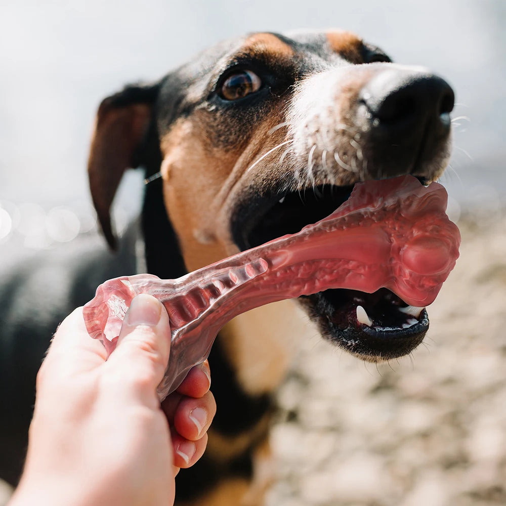Indestructible Bone-Shaped Dog Toy – Nylon Chew Toy for Large Aggressive Chewers