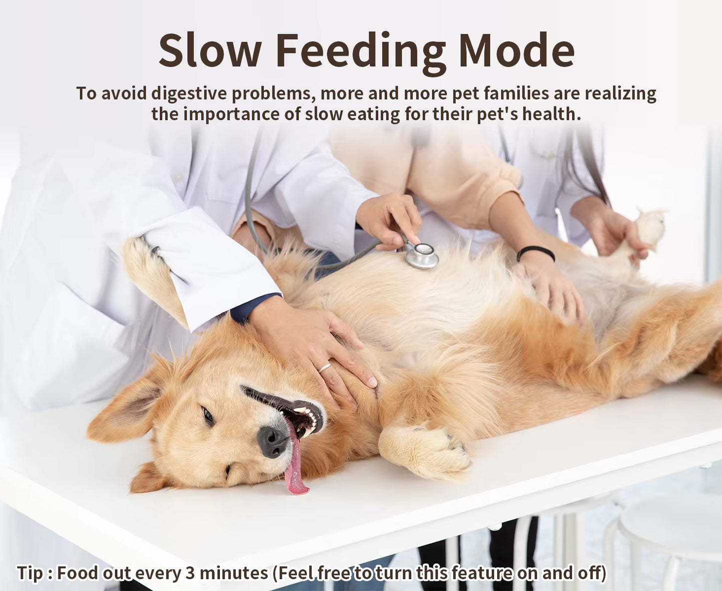 Smart Pet Feeder – WiFi Automatic Food Dispenser with Remote App Control