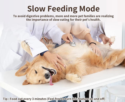 Smart Pet Feeder – WiFi Automatic Food Dispenser with Remote App Control