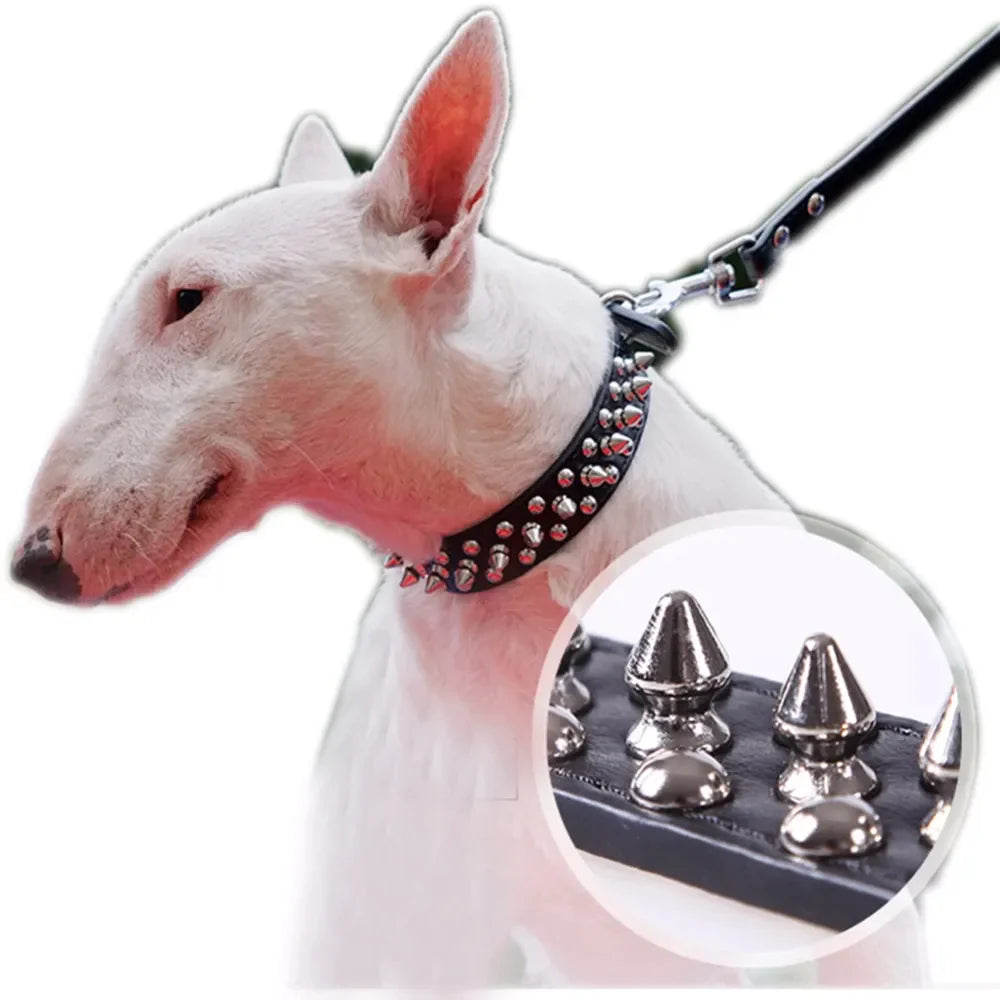 Spiked Studded Leather Dog Collar 