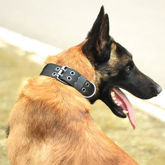 Military Tactical Dog Collar – Large 2" Nylon Collar with Metal Buckle