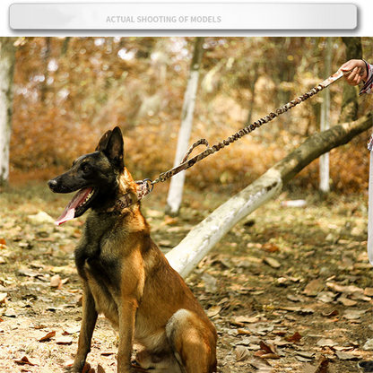 Military Tactical Dog Collar – Large 2" Nylon Collar with Metal Buckle