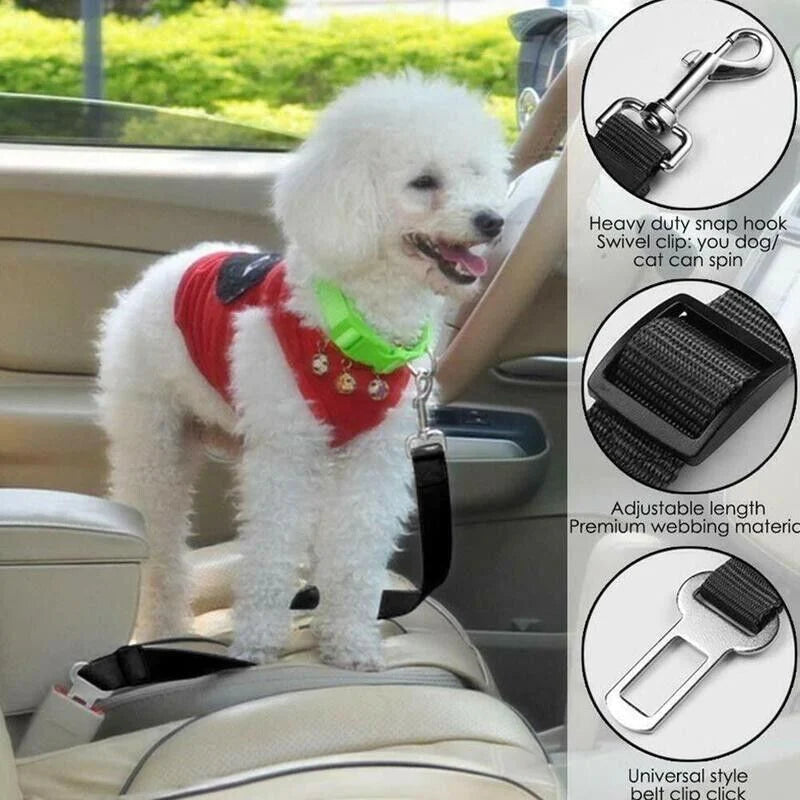 Pet Car Seatbelt Set – 2 Pack Adjustable Safety Harness for Cats and Dogs