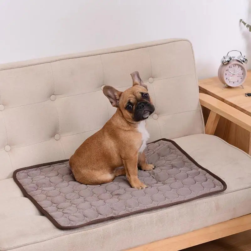 Pet Cooling Mat – Summer Pad for Dogs and Cats, Washable & Breathable Bed