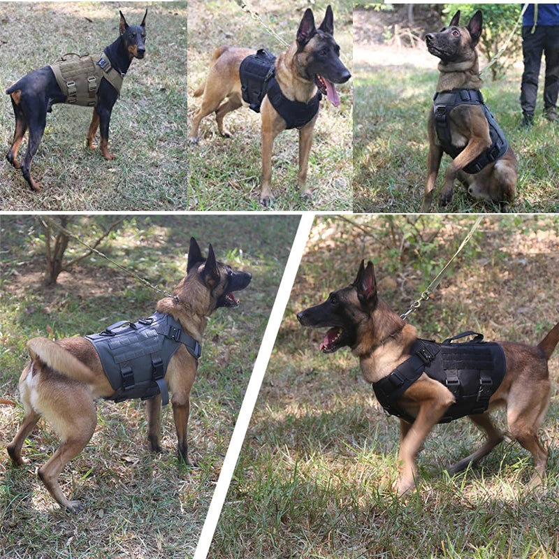 Tactical Military Dog Harness and Leash Set for All Breeds Dogs
