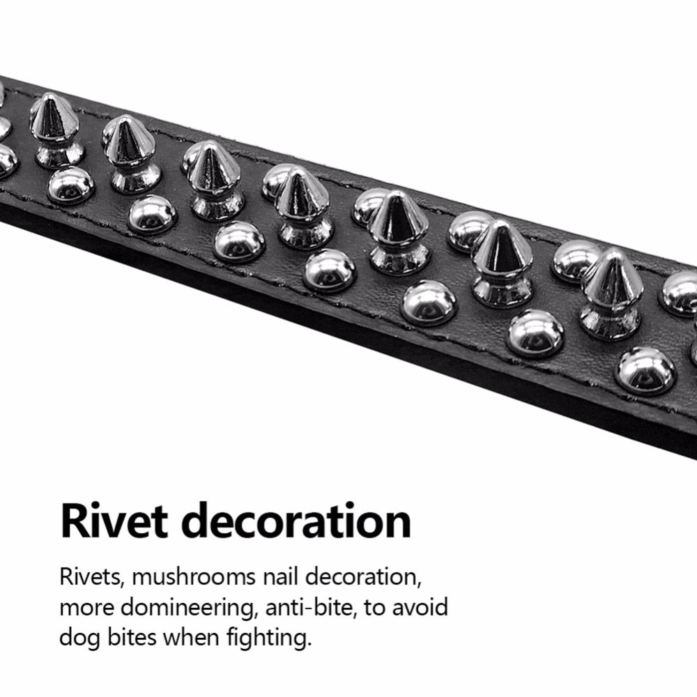 Spiked Studded Leather Dog Collar 